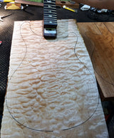 Paul Reed Smith Employee Artist Custom 24 Black Gold-Brian's Guitars