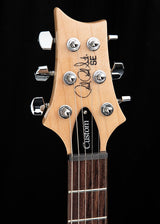 Paul Reed Smith SE Custom 24-08 Eriza Verde