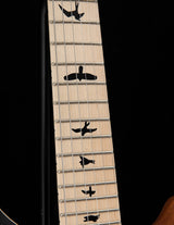 Paul Reed Smith DW CE 24 Floyd Dustie Waring Signature Black Top