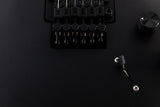 Paul Reed Smith DW CE 24 Floyd Dustie Waring Signature Black Top