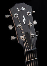 Taylor GT 811e