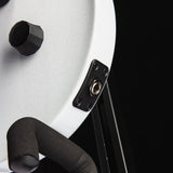 Paul Reed Smith Tekton Floyd White Holoflake