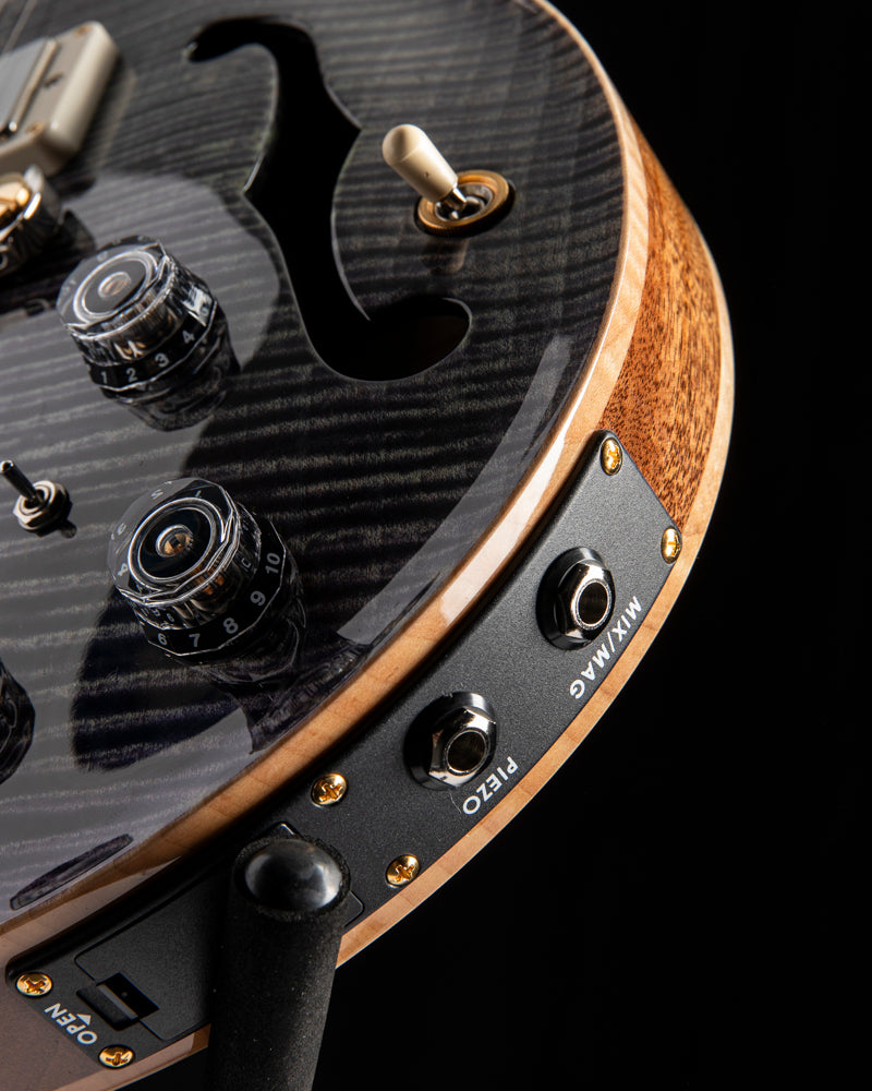 Apollo Reed Smith Paul Reed Smith Hollowbody II Piezo Aurora Borealis