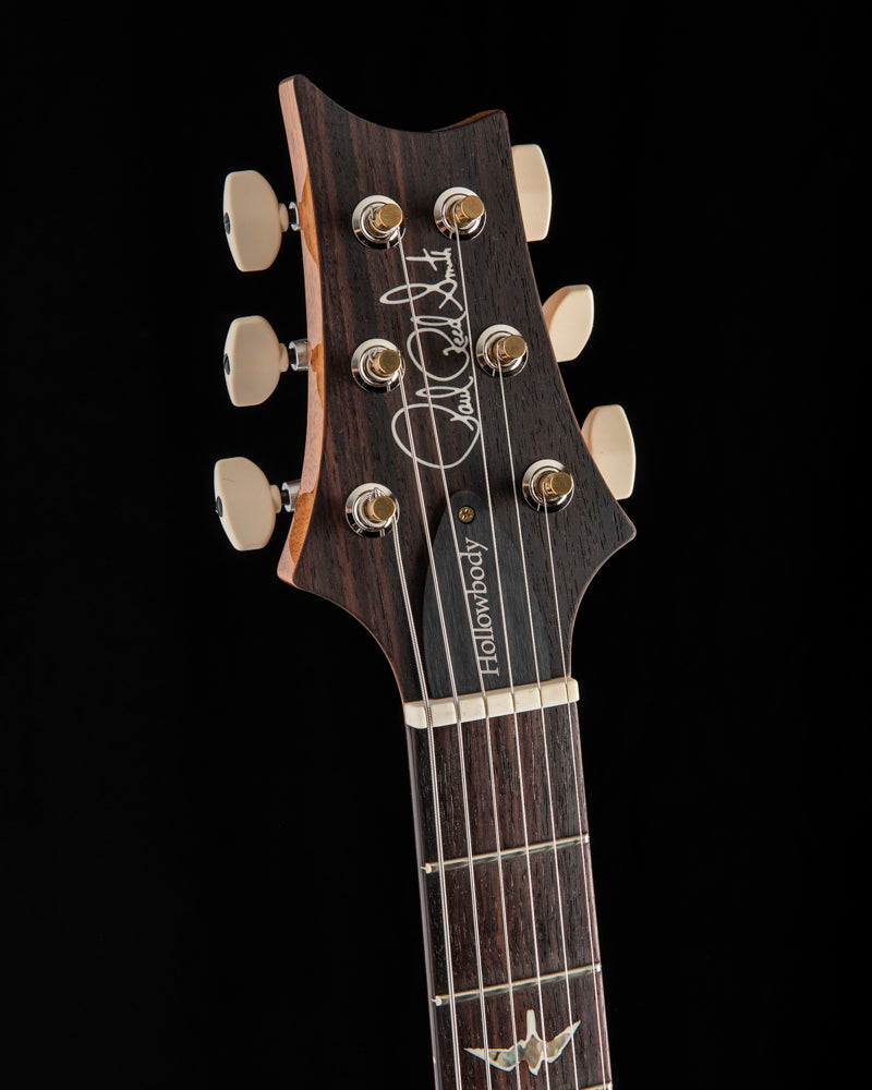 Apollo Reed Smith Paul Reed Smith Hollowbody II Piezo Aurora Borealis