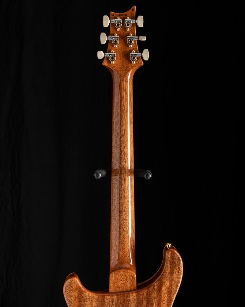 Apollo Reed Smith Paul Reed Smith Modern Eagle V Aurora Borealis