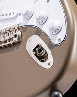 Paul Reed Smith Silver Sky Mojave Brown Satin