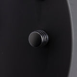 Aristides 060R NAMM 2026 Prototype Deep Black