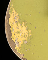 Fender Custom Shop 74/51 Nocaster Heavy Relic Appliance Green over Nocaster Blonde Master Built Levi Perry