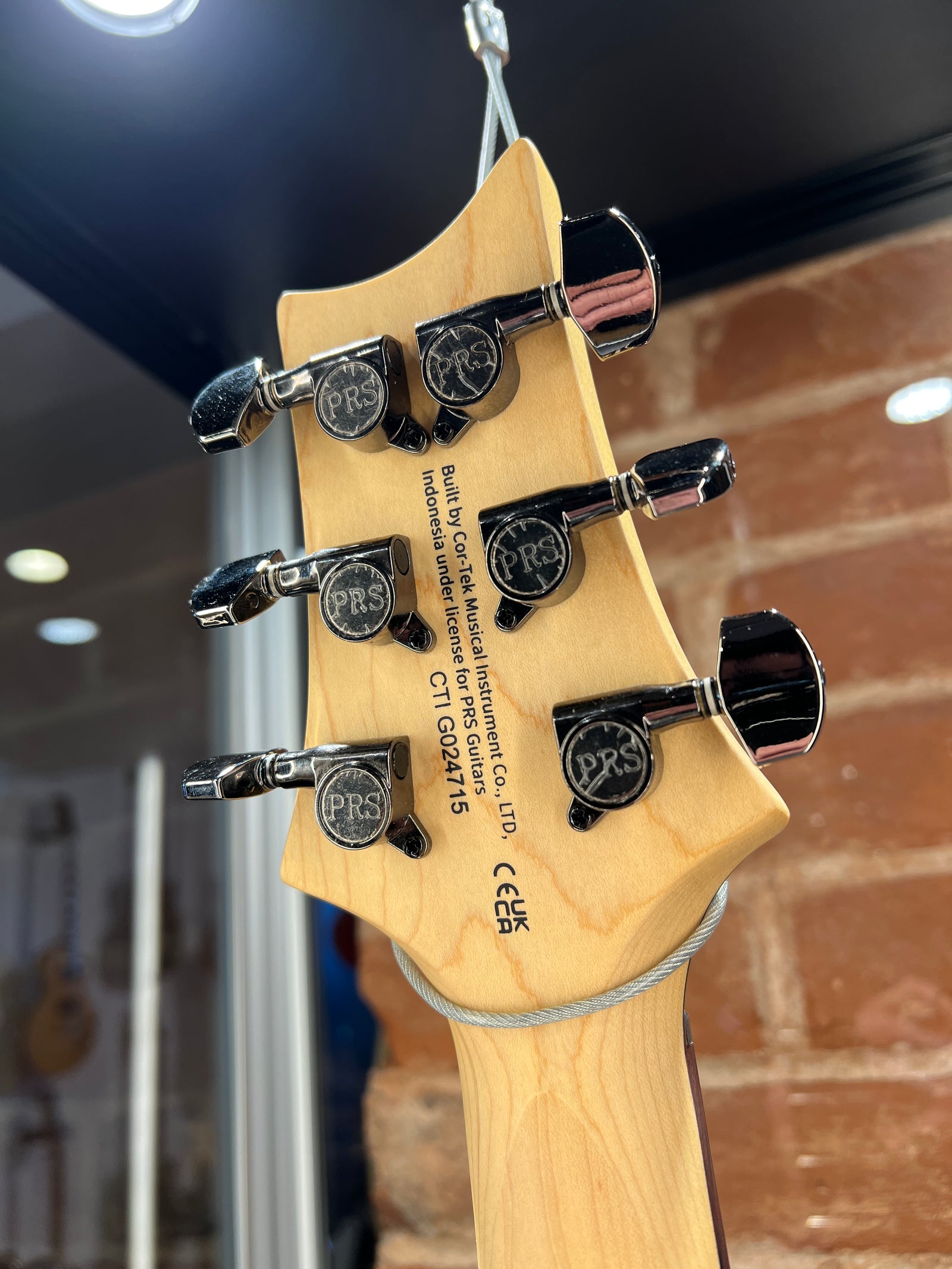 Paul Reed Smith SE Swamp Ash CE 24 Sandblasted Purple Limited Edition