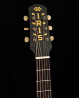 Iris Guitar Company DF Distressed Tobacco Burst Acoustic Guitar