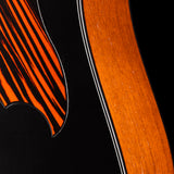 Iris Guitar Company D-WH Black