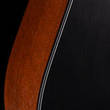 Iris Guitar Company D-WH Black