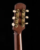 Iris Guitar Company D-WH Black