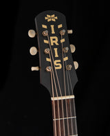 Iris Guitar Company DF Natural