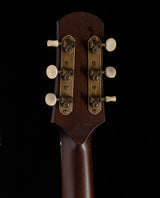 Iris Guitar Company DF Natural