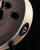 Mayones Regius 6 Swarm