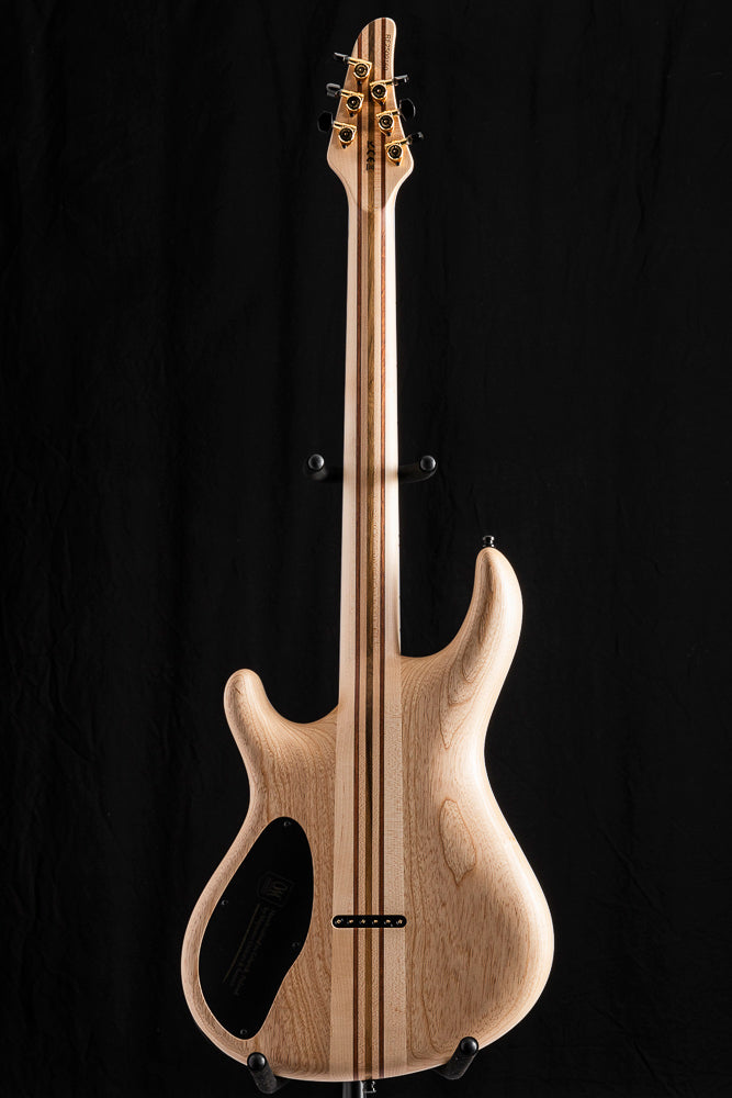 Mayones Regius 6 Swarm