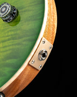 Used Paul Reed Smith CE24 Eriza Verde
