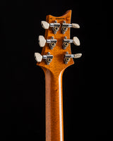 Paul Reed Smith Custom 24 Birds Of A Feather Limited Charcoal Microburst