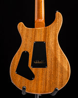 Paul Reed Smith Custom 24 Birds Of A Feather Limited Charcoal Microburst