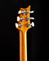 Paul Reed Smith Custom 24 Birds Of A Feather Limited Charcoal Microburst