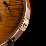 Paul Reed Smith Custom 24 Birds Of A Feather Limited Honey Gold