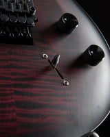 Paul Reed Smith DW CE 24 Dustie Waring Signature Waring Burst