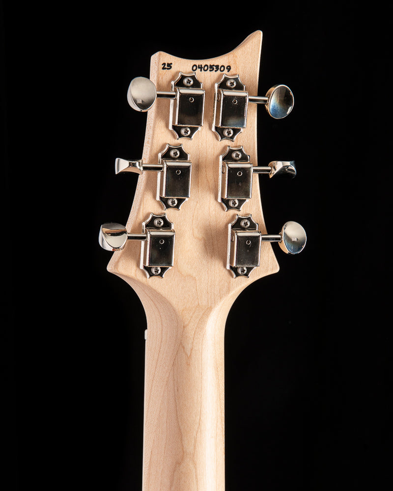Paul Reed Smith Fiore Mark Letteri Signature Hibiscus