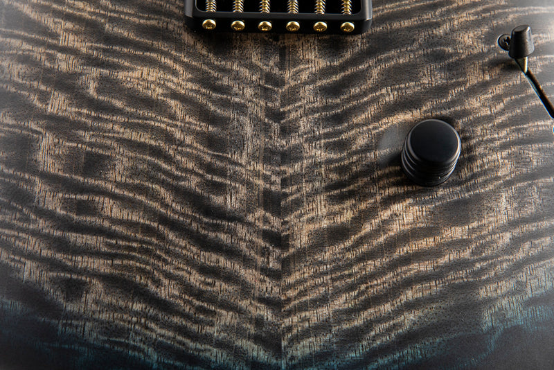 Paul Reed Smith Mark Holcomb Signature Holcomb Wraparound Blue Burst