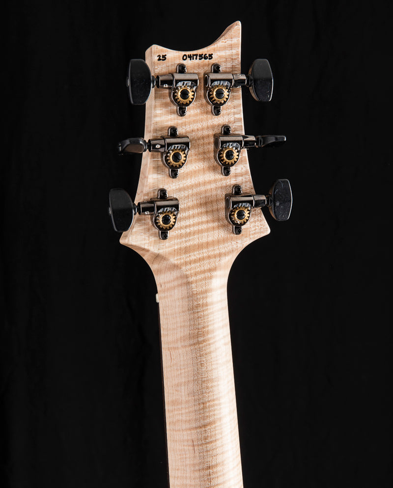 Paul Reed Smith Wood Library Artist Modern Eagle V Brian's Guitars 15th Anniversary Zombie Fade Limited