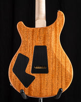 Paul Reed Smith Wood Library Artist Modern Eagle V Brian's Guitars 15th Anniversary Zombie Fade Limited