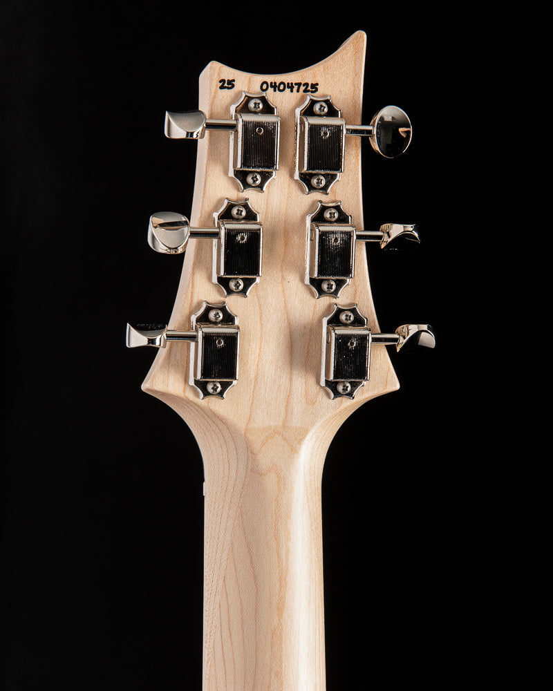 Paul Reed Smith Myles Kennedy Platinum Metallic
