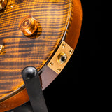 1996 PRS Private Stock #7 12-String Tiger Eye