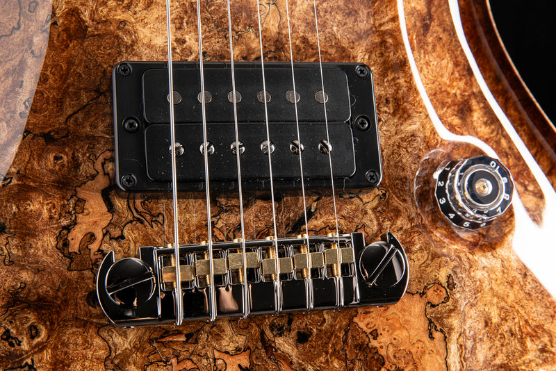 Paul Reed Smith Private Stock 10,000 Custom 24-08 Sub Zero Glow