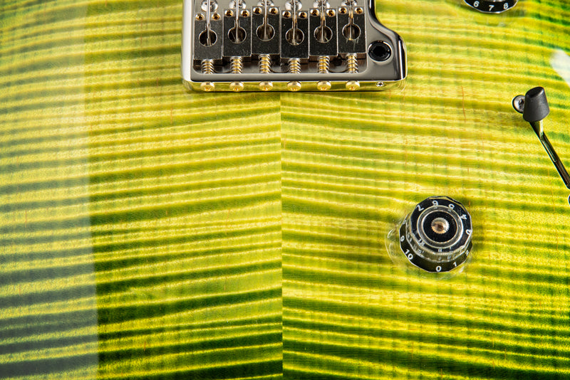 Paul Reed Smith Private Stock Custom 24 Walking Zombie Rainforest Glow