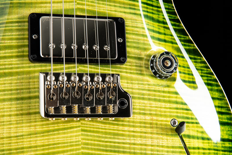 Paul Reed Smith Private Stock Custom 24 Walking Zombie Rainforest Glow