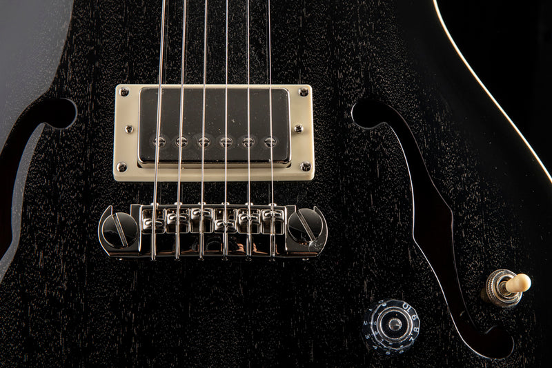 Paul Reed Smith SE Hollowbody Standard Piezo Dog Hair Smokeburst
