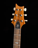 Paul Reed Smith Wood Library DGT Semi-Hollow Aurora Borealis Brian's Guitars Limited