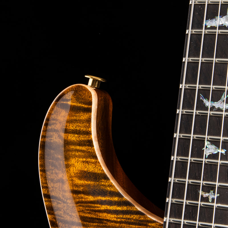 Paul Reed Smith Wood Library DGT Semi-Hollow Yellow Tiger Brian's Guit