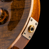 Paul Reed Smith Wood Library DGT Semi-Hollow Yellow Tiger Brian's Guitars Limited