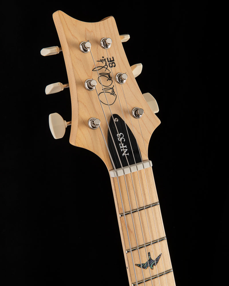 Paul Reed Smith SE NF 53 Black Doghair