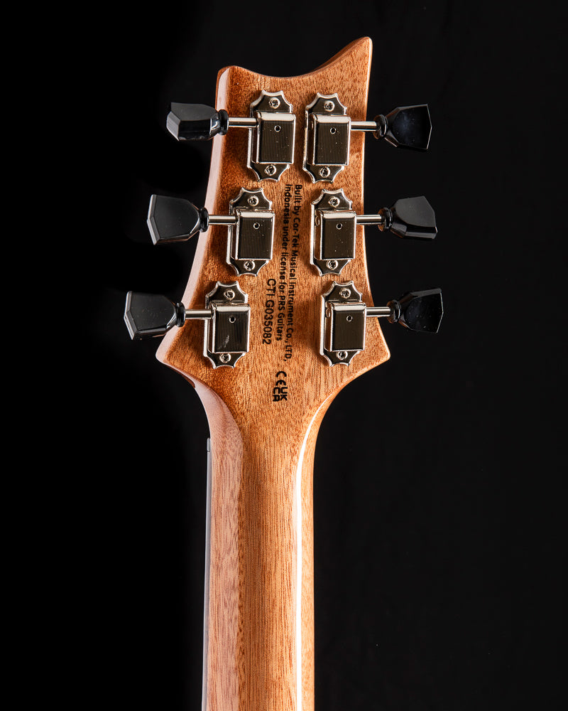 Paul Reed Smith SE Paul's Guitar Turquoise