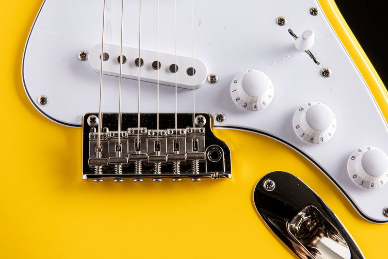 Paul Reed Smith SE Silver Sky Dandy Lion