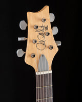 Paul Reed Smith SE Silver Sky Dandy Lion
