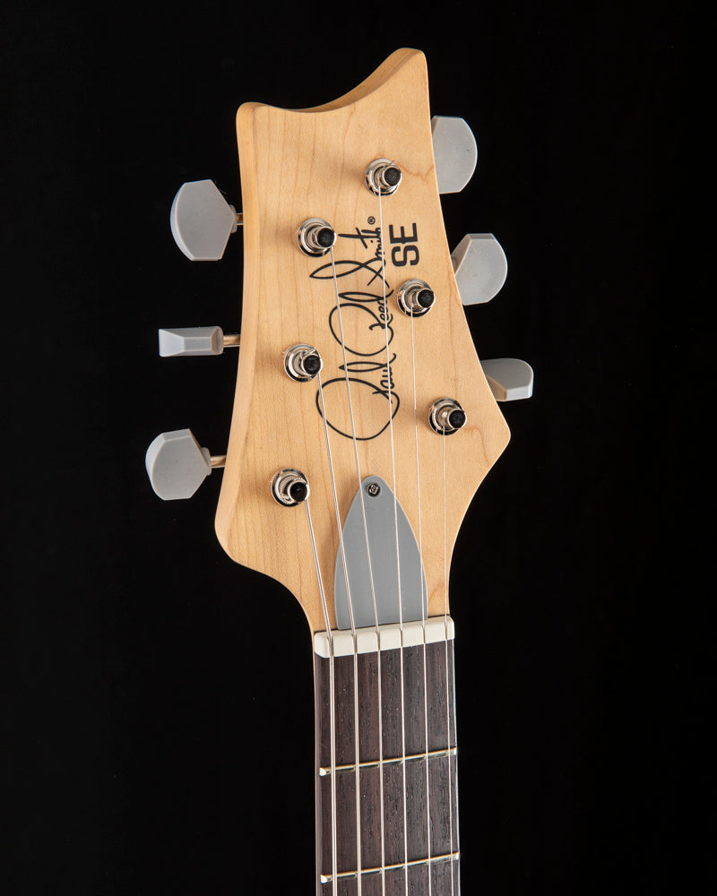 Paul Reed Smith SE Silver Sky Dandy Lion