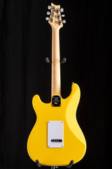 Paul Reed Smith SE Silver Sky Dandy Lion