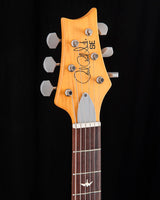 Paul Reed Smith SE Silver Sky Dragonfruit