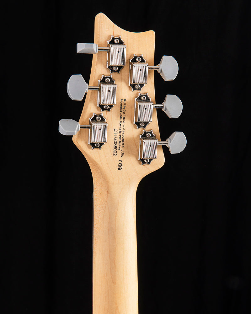 Paul Reed Smith SE Silver Sky Piano Black