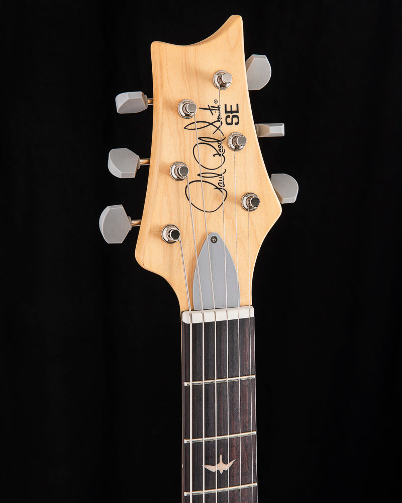 Paul Reed Smith SE Silver Sky Stone Blue