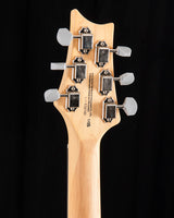 Paul Reed Smith SE Silver Sky Stone Blue